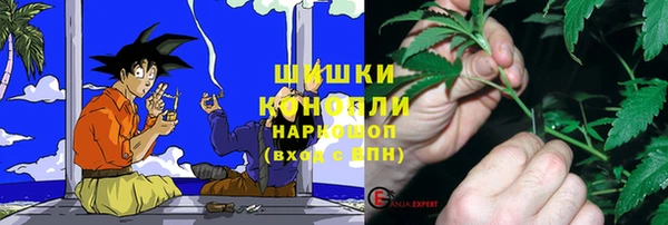 гидра Вязники