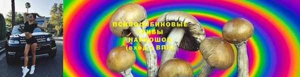 мяу мяу мука Волоколамск